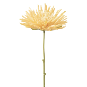 Meekes | Grohandel fr knstliche Pflanzen und Blumen