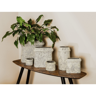 Product CBGDS Um T afbeelding