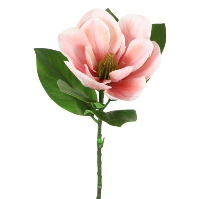 Product NJ Xne VWL afbeelding