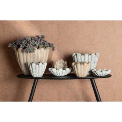 Product ev Ixg FPR afbeelding