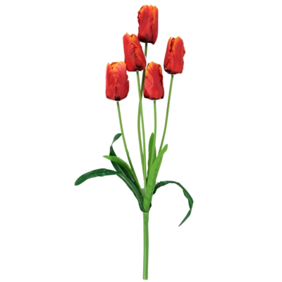 Product cd S Dtb CH afbeelding