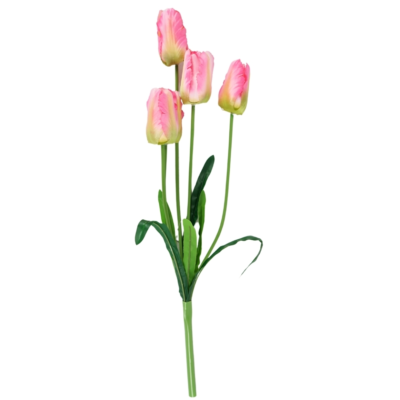 Product Ri Z Cn AJQ afbeelding