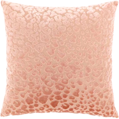 Product Ct Efds ND afbeelding