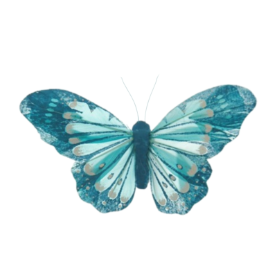 Product Y Pmp Ux SZ afbeelding
