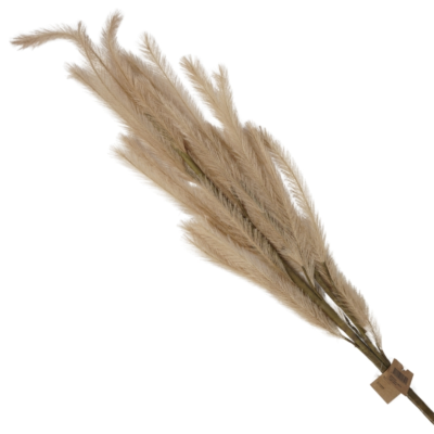 Product zm Jfi A Zp afbeelding