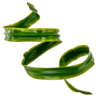 Product R Avl O Yx D afbeelding