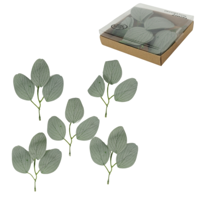 Product xo YVJ Bg S afbeelding