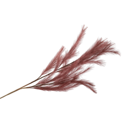 Product e M Qwi F Np afbeelding