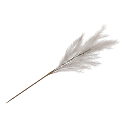 Product Pgxkt Yj M afbeelding