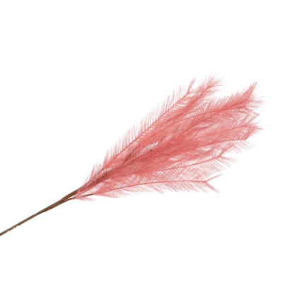 Product lz AUZE Fp afbeelding