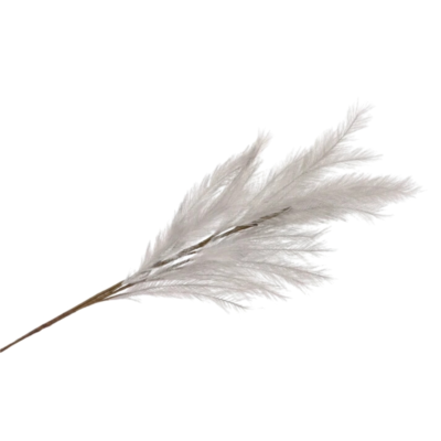 Product F Ri L Sk WN afbeelding