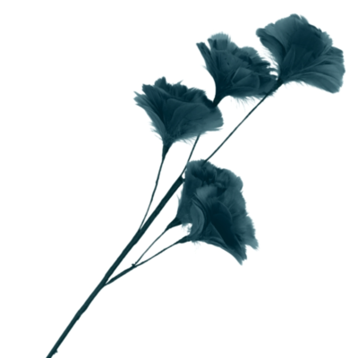 Product t Mfs Tcvz afbeelding