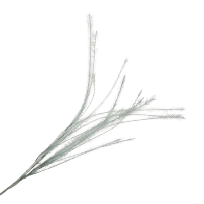 Product Rnih Ddt T afbeelding