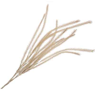 Product gh Ks T Qy H afbeelding