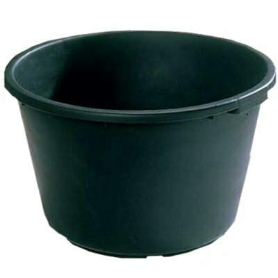 Product DALQS Etx afbeelding