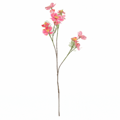 Product Ceokwr Lp afbeelding