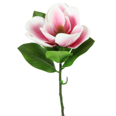 Product Z Iu Xwa RE afbeelding