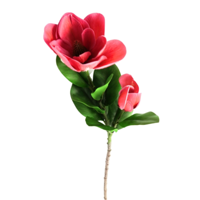 Product eb Fm Mf Gz afbeelding