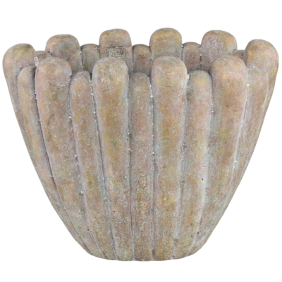 Product koa Bzec P afbeelding