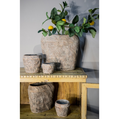 Product evot Sfld afbeelding