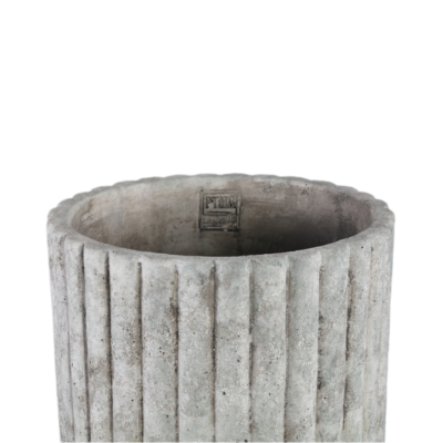 Product Sox BWFXY afbeelding