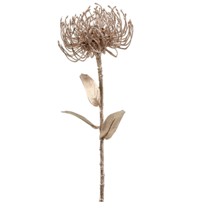 Product E Pc Af Cr B afbeelding