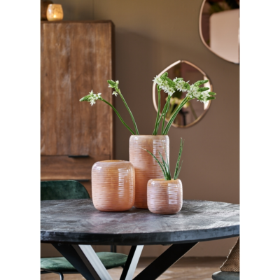 Product Cxv Xe Idh afbeelding