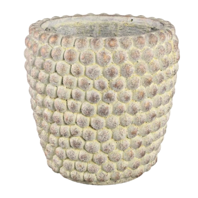 Product FM Sampr V afbeelding