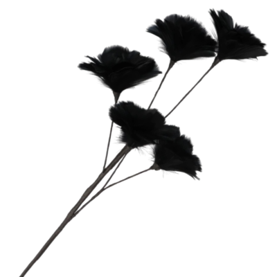 Product t Sl M Uzfk afbeelding