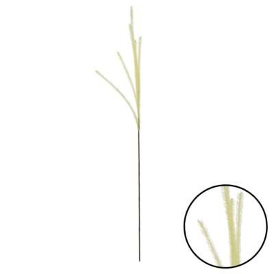 Product io Pa Odv Y afbeelding