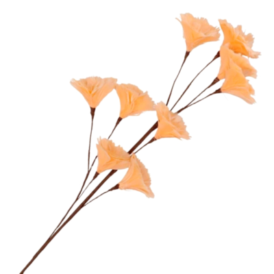 Product FLR Ssfj Y afbeelding