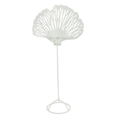 Product i Wb H Lg QP afbeelding