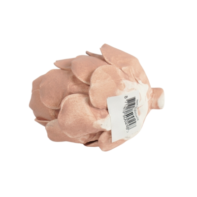 Product i Kpl SCWP afbeelding