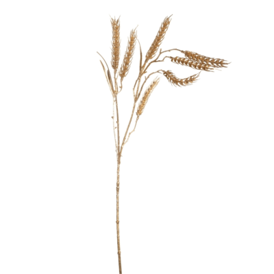 Product OM Jmx Rt T afbeelding