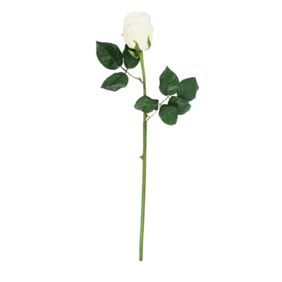 Product MV Yj Hw Fe afbeelding