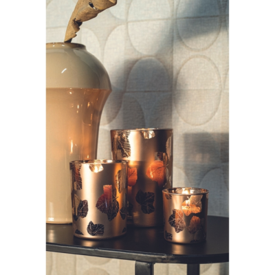 Product Zl NL Iv AC afbeelding