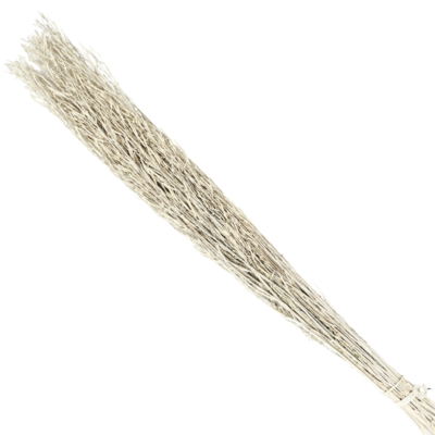 Product g Gvm E Lpk afbeelding