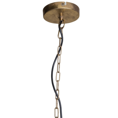 Product zolsji ZX afbeelding