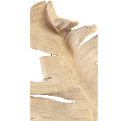 Product w Njqp XEJ afbeelding