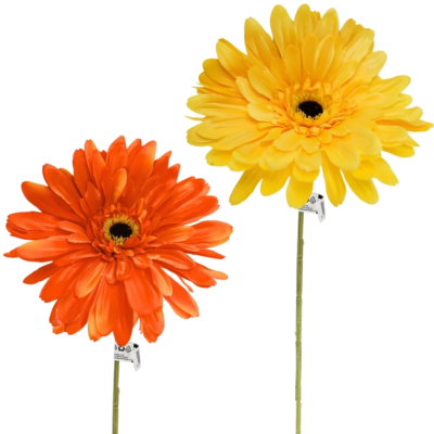 Product Gze Esj MA afbeelding