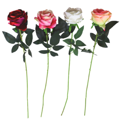 Product BHJT Awa S afbeelding