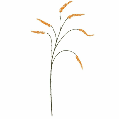 Product nw O Lc G Fb afbeelding