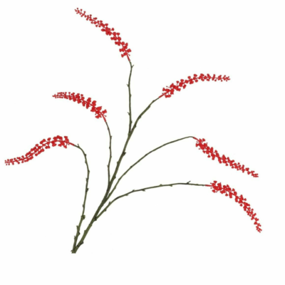 Product o Zldv YID afbeelding