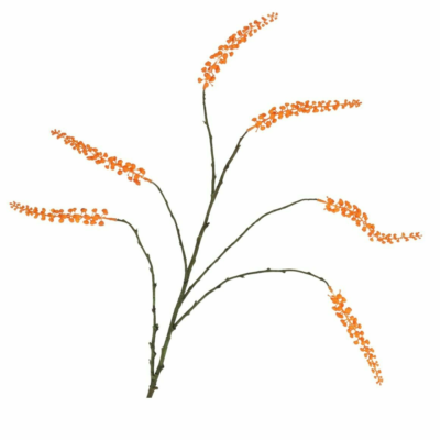 Product Pi Dhd REL afbeelding