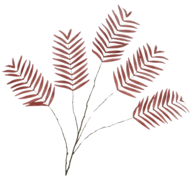 Product p Kam F Zxi afbeelding