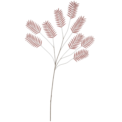 Product n MD Pz H Xa afbeelding