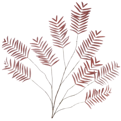 Product ho Rc Wpeb afbeelding