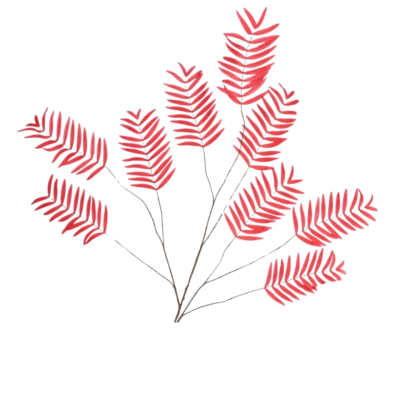 Product az CB Tf Zj afbeelding