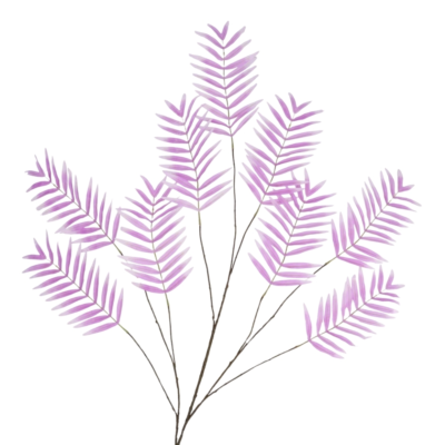 Product b U Jw FQ Ma afbeelding