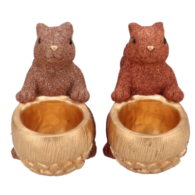 Product ytv X Hkzb afbeelding